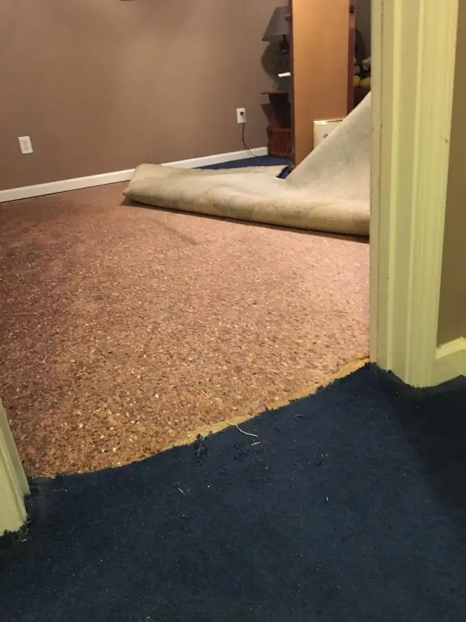 Carpet pad removal revealing water damage during Water Mitigation Services in Radnor