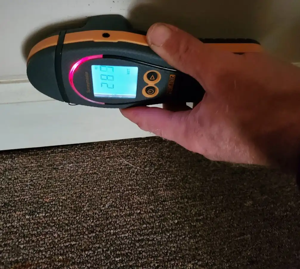Moisture detection at baseboard during Burst Pipe Cleanup in Radnor